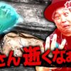 『銭バカ』嵐、倒れる。享保の大飢饉をパイセン将軍が救う⁉【吉宗】《嵐・くり・マコト》